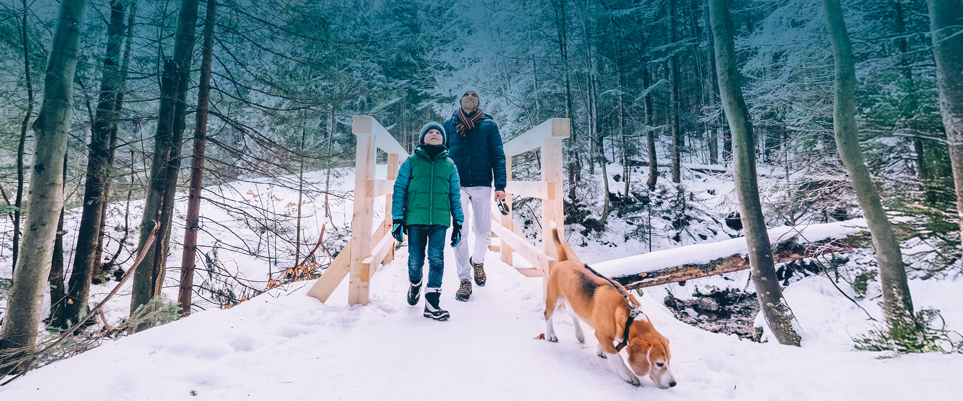 b2a_winter-trail-etiquette_hero_1920x800 | Sentier Transcanadien man and son and dog walking in the snow on a wooded trail