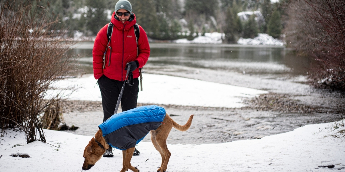 person and dog walking on snowy trail