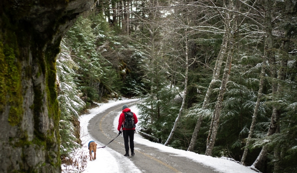 person walking on snowy trail with dog