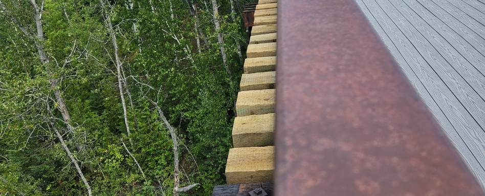 bridge tracks over forest