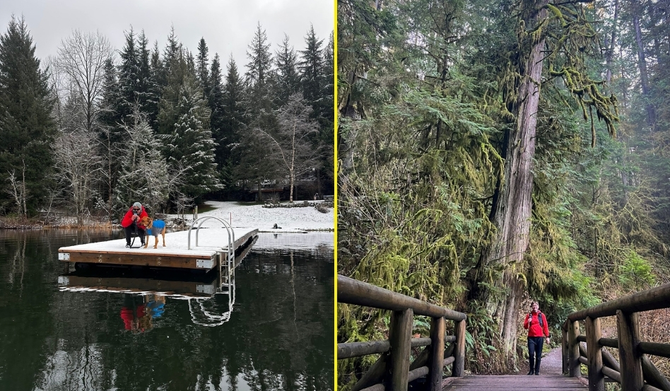 person and dog walking on snowy trail lakeside