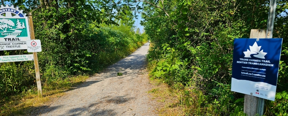 forest with trail signage