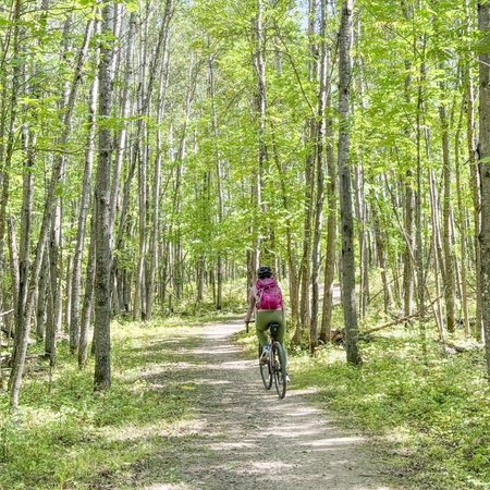 woman on a bike on path in forest area on a sunny day