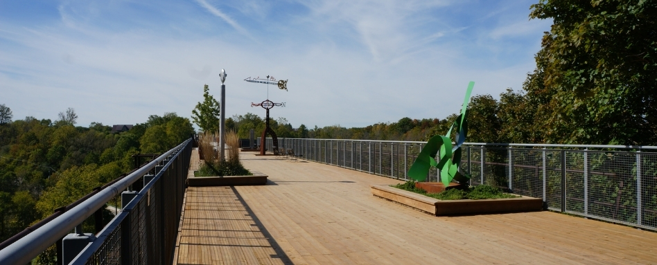 sunny wood pannel trail