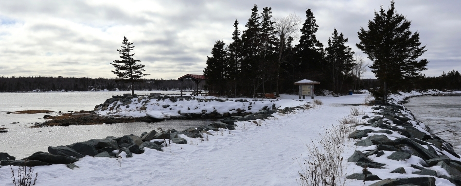 06Support image_HRM web story_Salt Marsh Trail_credit Cathy Donaldson | Sentier Transcanadien long snowy waterfront