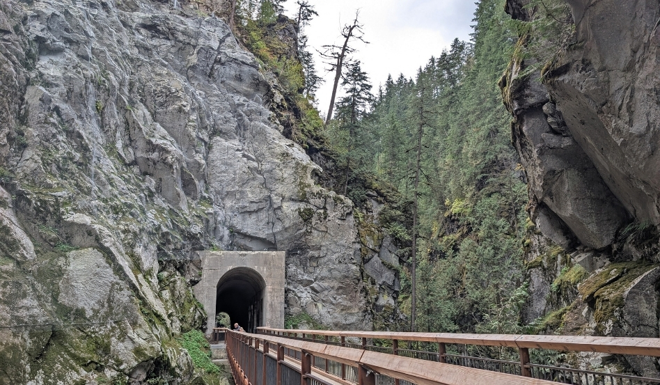 large tunnels in the forest