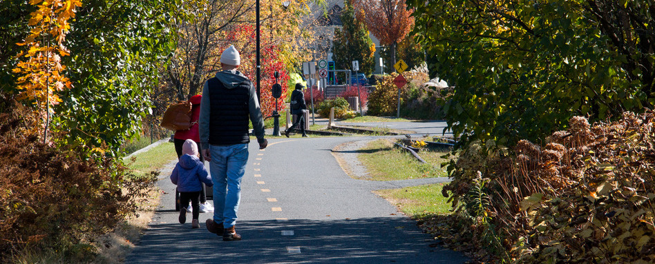 people walking on trail with fall colors