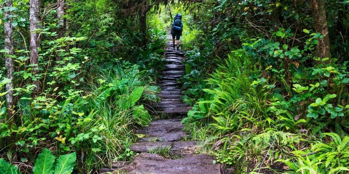 00Feature image_Taryn Eyton Leave No Trace_credit Taryne Eyton | Sentier Transcanadien person walking on rocky trail on rainy day