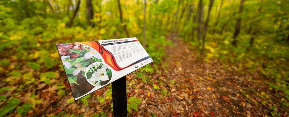 01Support image_Bebamikawe Memorial Trail_credit Peter Baumgarten | Sentier Transcanadien trail signage in forest