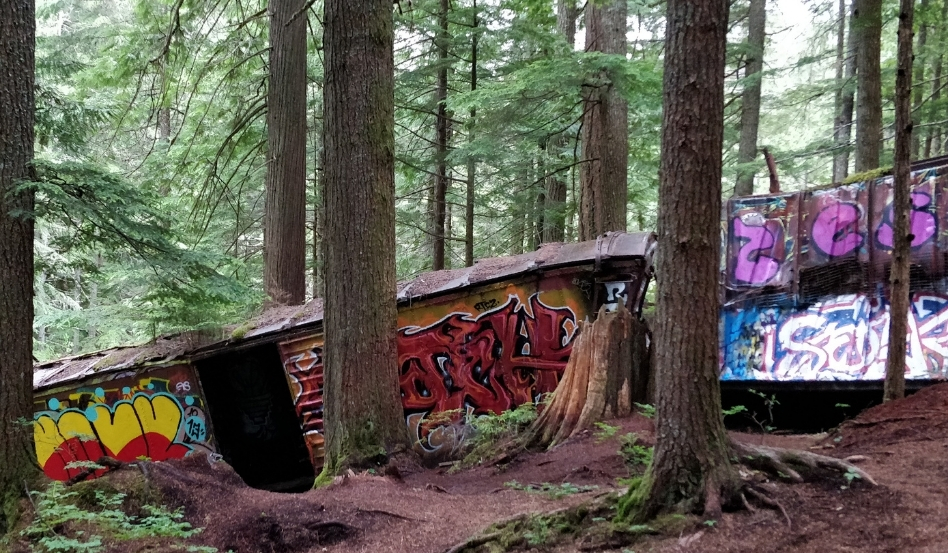 01Support image_Whistler Story-Train Wreck_credit Ruth Hartnup CC BY 20 | Sentier Transcanadien abandoned, graffiti train in forest area