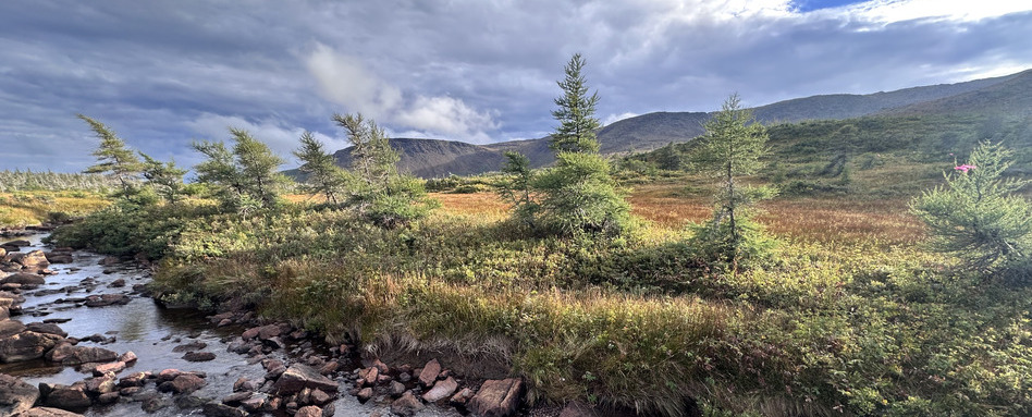 04Support image_Indigenous History Month_credit International Appalachian Trail Newfoundland and Labrador | Sentier Transcanadien large scale view of forested area with mountain and clouds behind