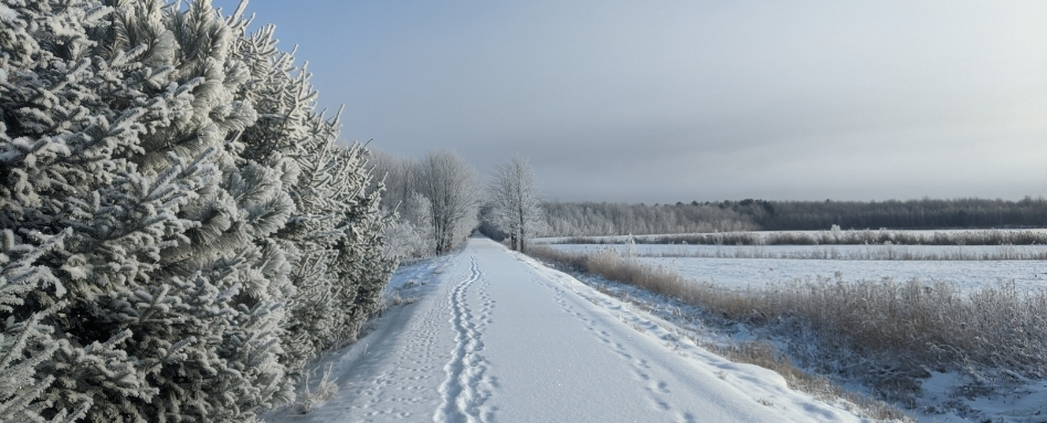 snow covered trail lakeside