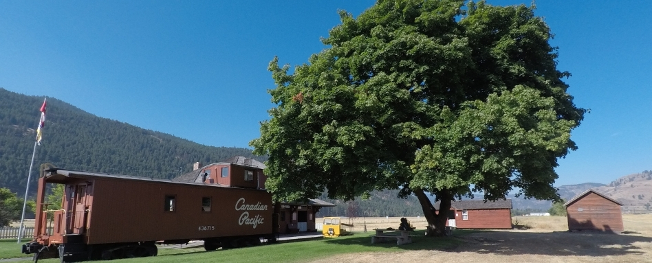 train car on pathway with large tree on a sunny day