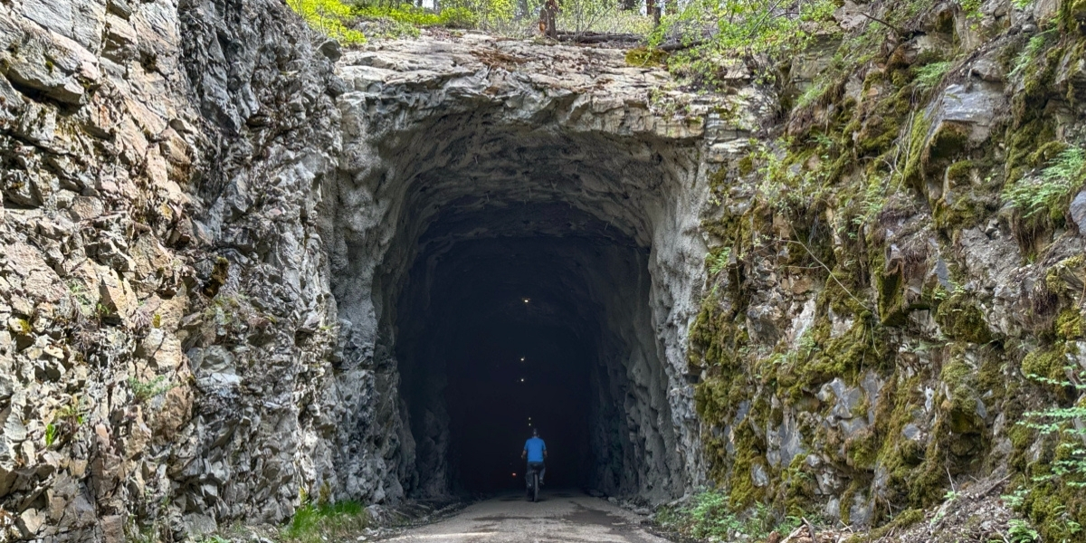 large forest tunnel with cyclist inside