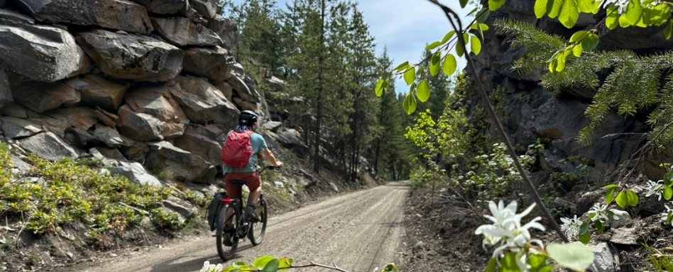 large dirt trail in forest with cyclist riding through