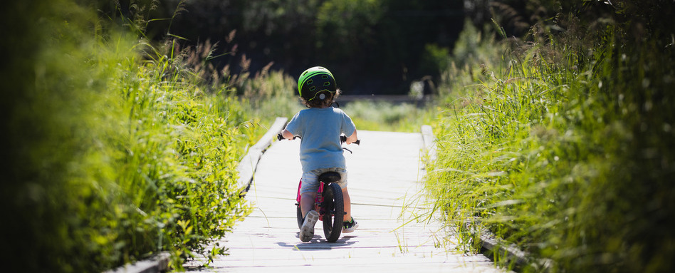 toddler on a bike on boardwalk forest trail