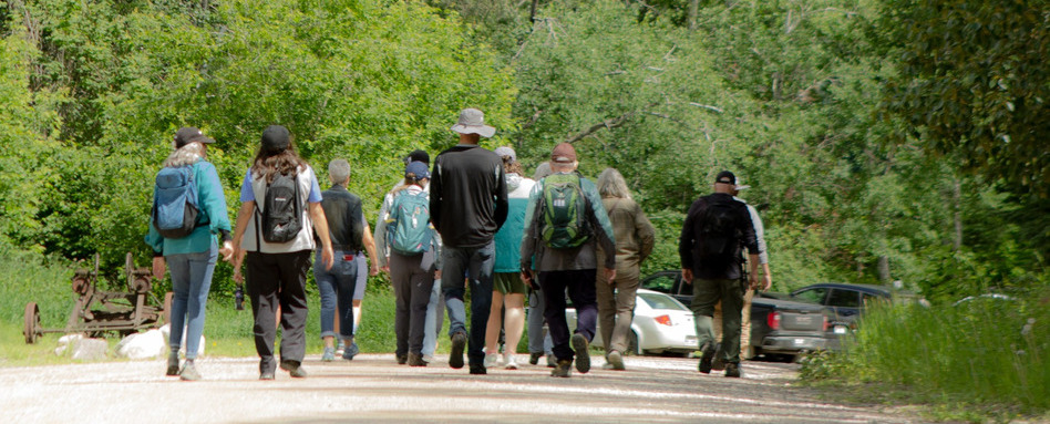 group of people walking in a parking lot of a forested area