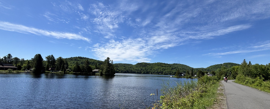 lake trail side on a sunny day