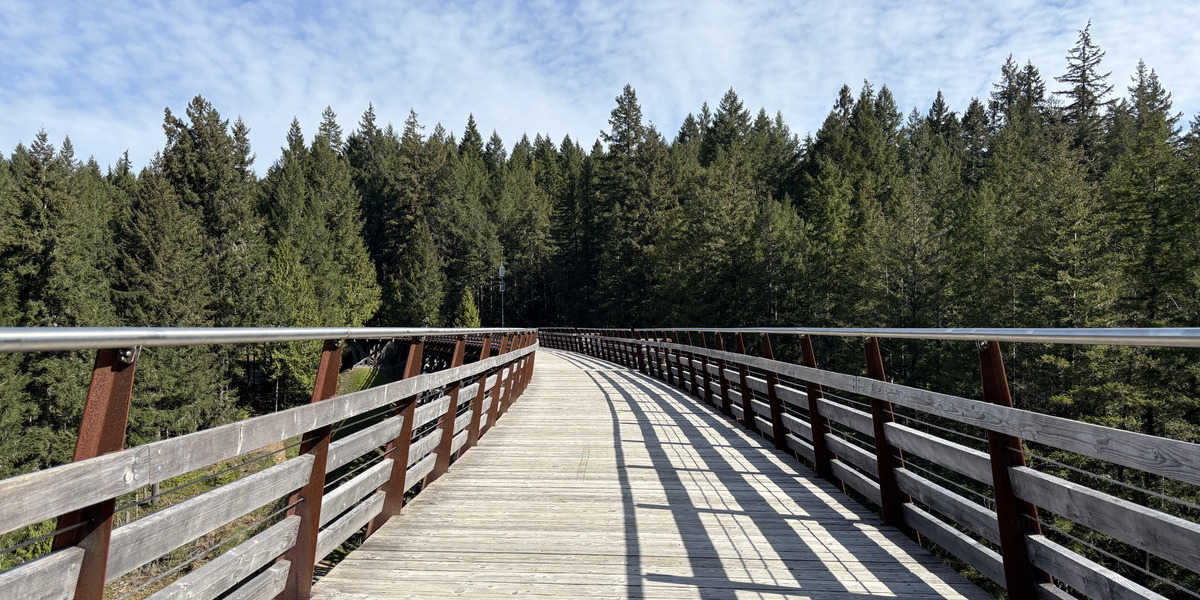 00Feature image_Kinsol Trestle story_credit Amy Schwartz | Sentier Transcanadien long wooden pedestrian bridge leading into a forest