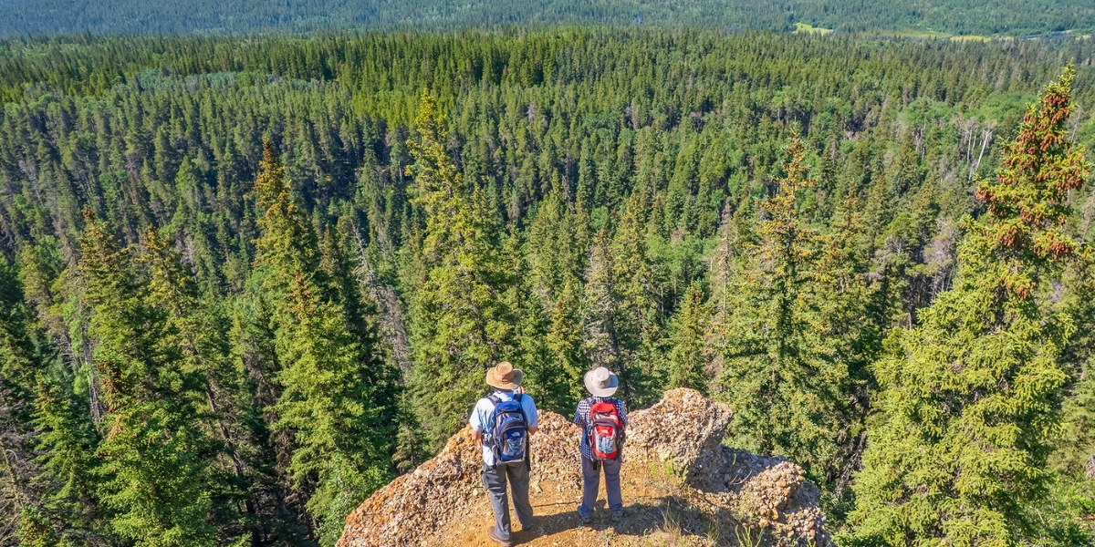 Two people facing away from the camera, standing on a rocky overlook. Below them is a dense forest.