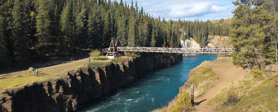 bridge over water rapids in forest on sunny day