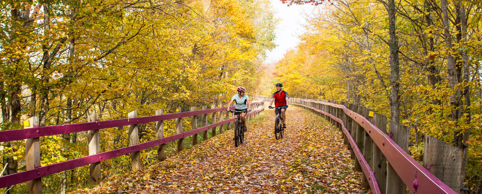 two people biking on a trail with fall foliage