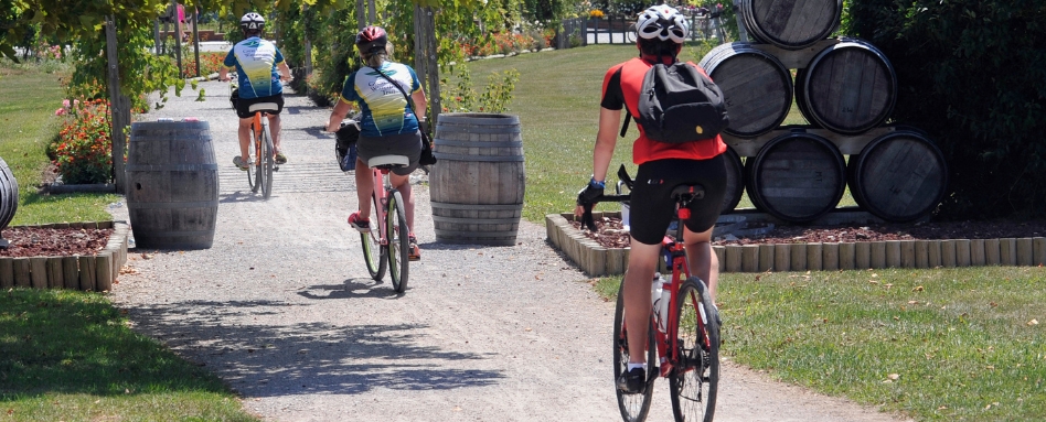 04Support image_ON_Pelee Island trail profile_credit Simon Wilson | Sentier Transcanadien people riding bikes on a wine trail