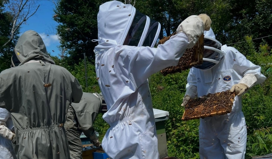 05Support image_NLITA story_Corner Brook_credit Pollen Nation Farm | Sentier Transcanadien farmers grabbing bee pollen in suited gear