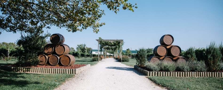 05Support image_ON_TWEPI article_Winery_credit Tourism Windsor Essex Pelee Island | Sentier Transcanadien winery barrels and archway on sunny day