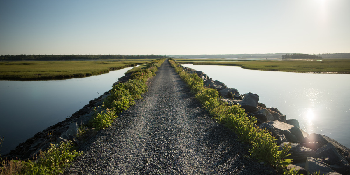 2018-NS-Salt Marsh Trail-Daniel Baylis 10_Web_StoryFeatured_Image_1200x600 2 | Sentier Transcanadien long gravel trail with waterway and greenery lining