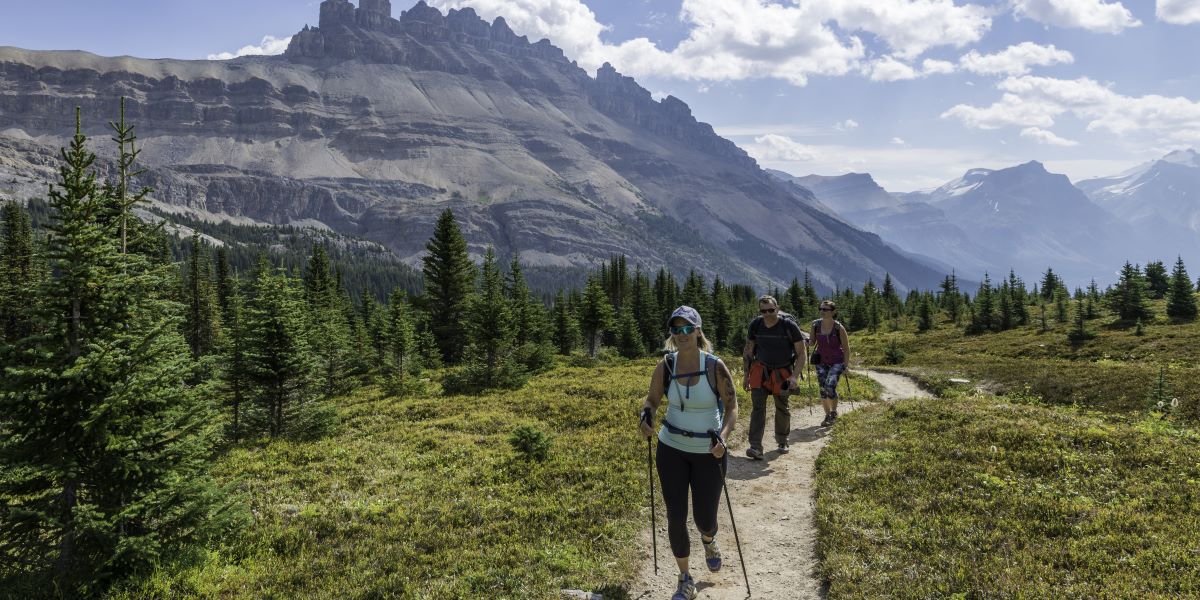 GCH2026_Hero-Image_tctsitecrop | Sentier Transcanadien People hike on a remote trail with mountains in the background.