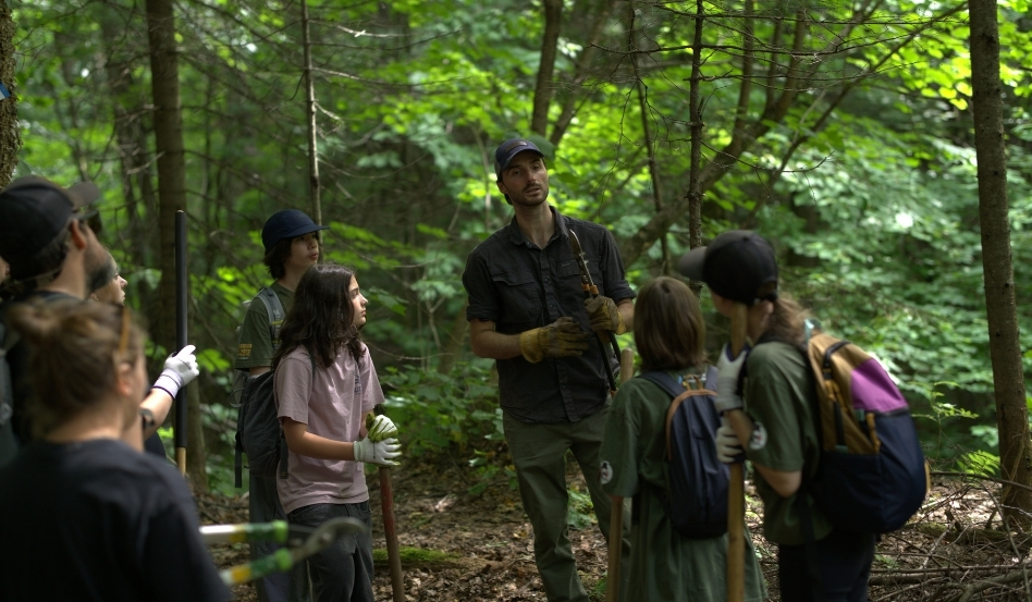 group of people in forest tree planting