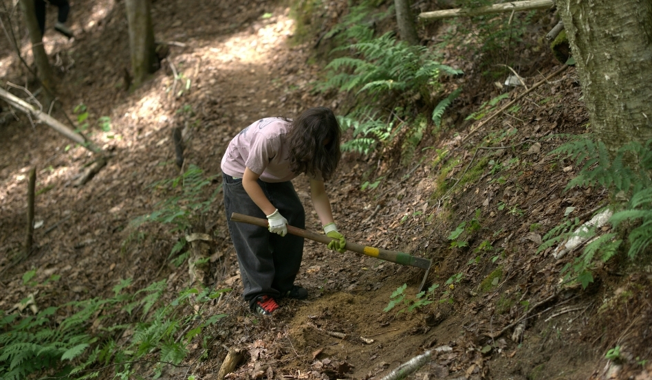 person digging with tree rake in a forest