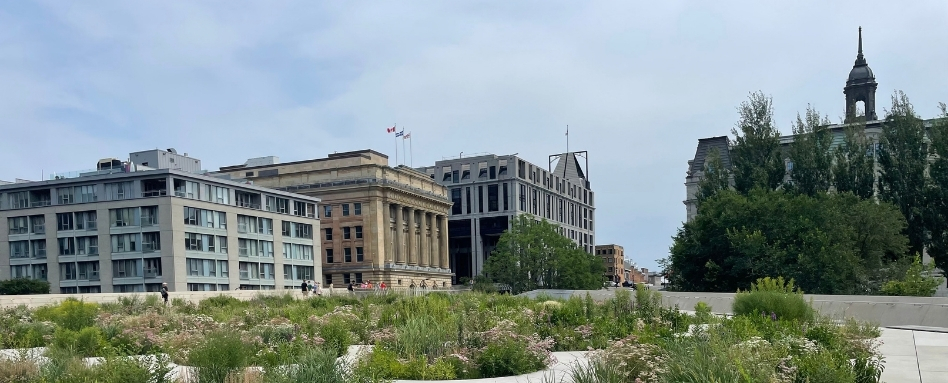 Wide cityscape: modern apartment block, a classical stone building, and a church tower behind a lush, landscaped foreground garden.