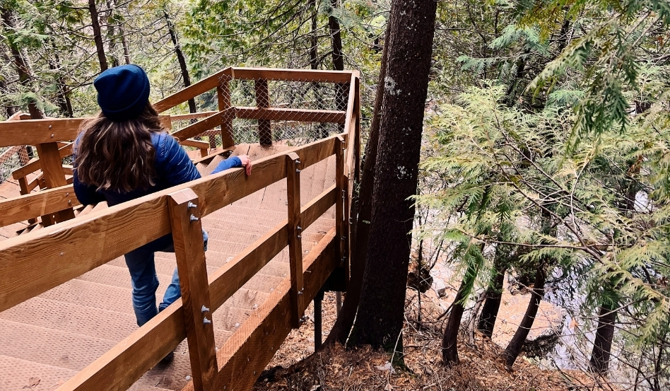 person walking down a wooden staircase in a forest