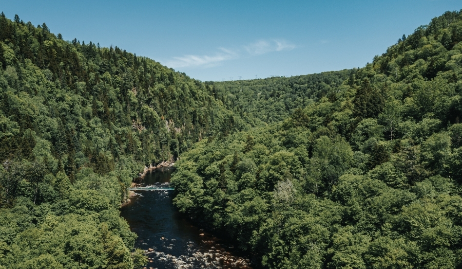 birdseye view of a river running through a mountainous area